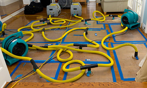 Professional Water Damage Repair technician working in Burgoon, OH