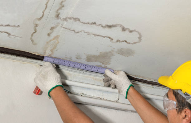 Affordable Water Damage Repair solutions in Burgoon, OH